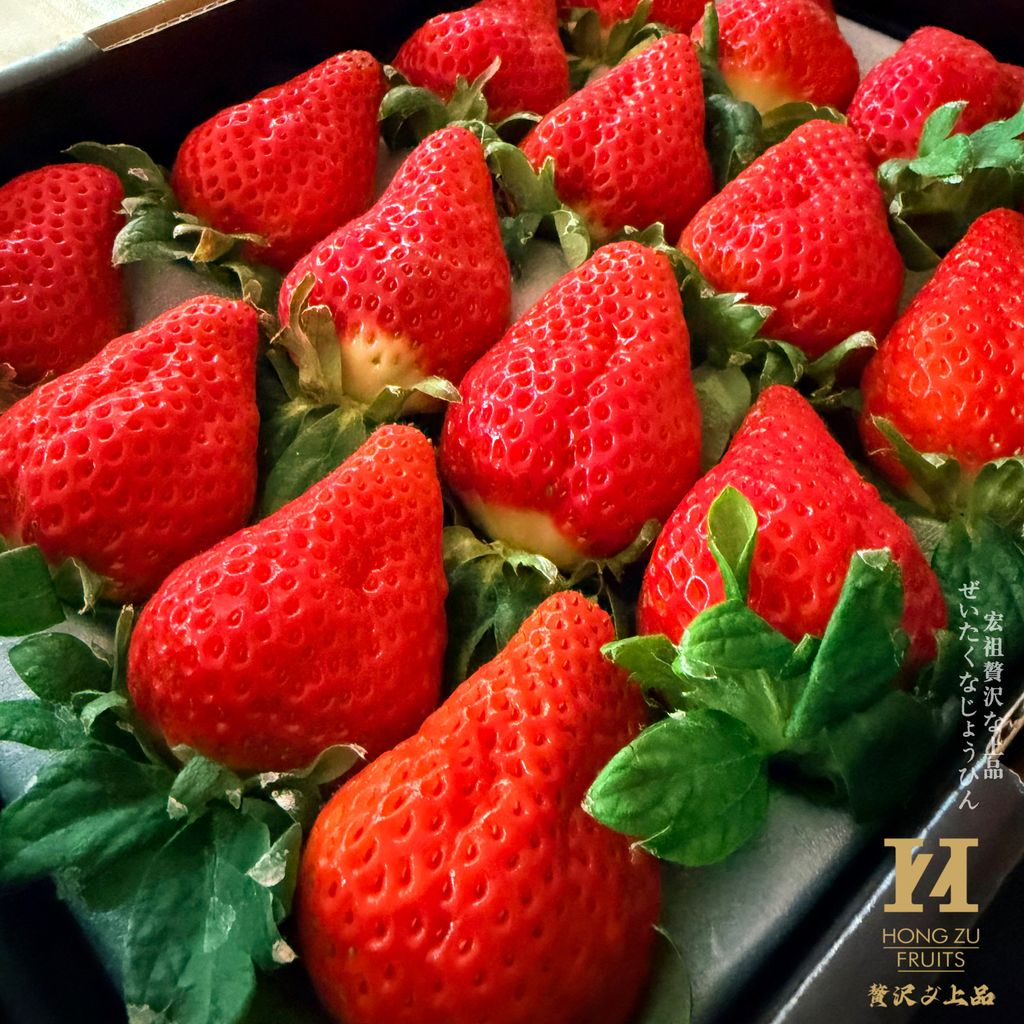 image_66A6E1AA-EBB6-489A-95AA-69E28E72234B_1766728437