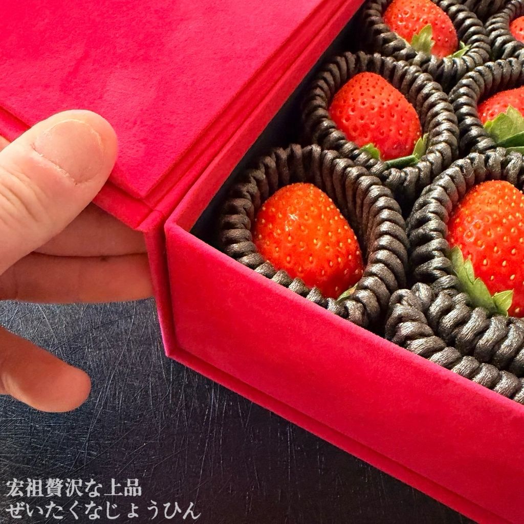 image_62D12CDB-423B-4192-B8AC-CF7E2FDDF325_1766732255