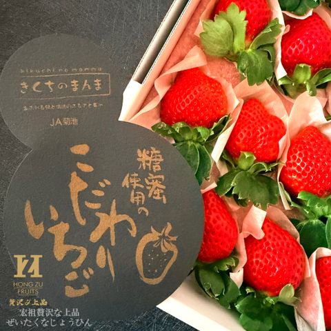 image_6DB39D0B-1812-45AF-AF4A-BEE669A5848C_1766998985