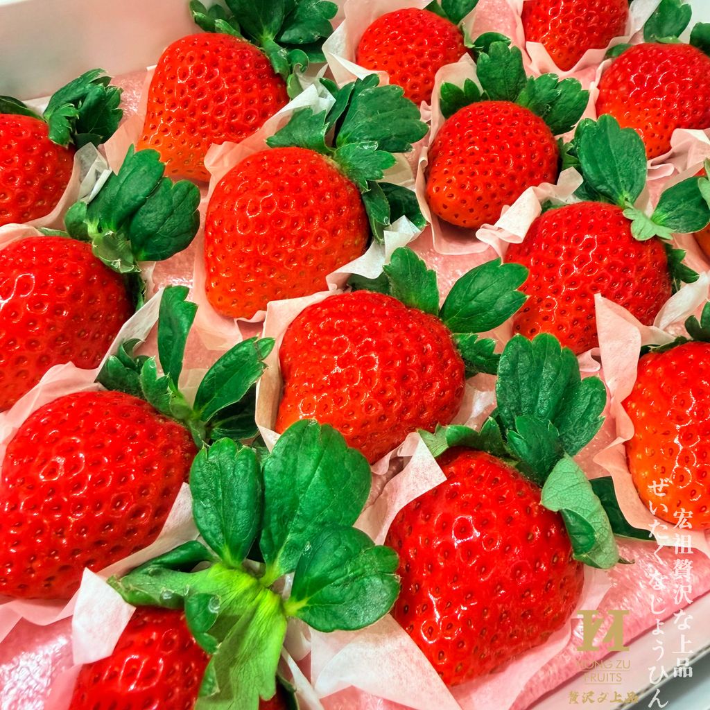 image_2AF95168-E488-4AEA-8599-AE37CA8F562E_1766999016