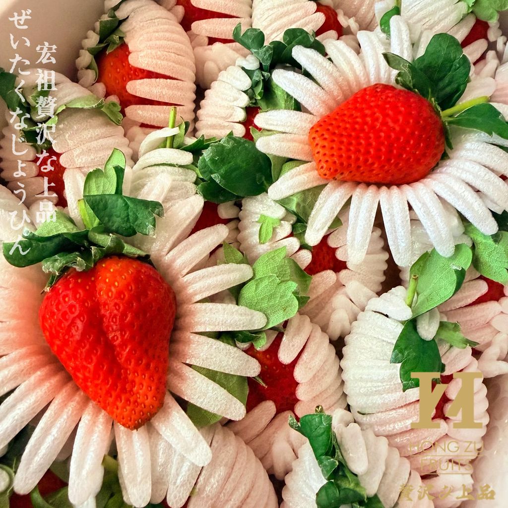 image_45C64AE8-3B37-45E6-837F-B1CA78AA5FAC_1767369141