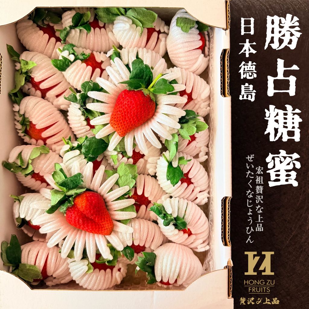 image_5B41FB3E-054B-435B-9922-EAB1855D353B_1767369142