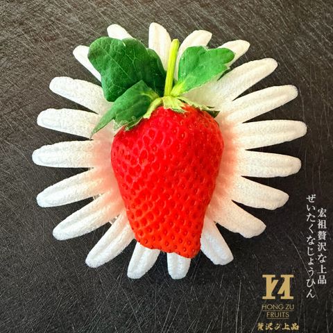 image_75936BED-3B71-4C3A-AD69-451DAFC0AB47_1767369142