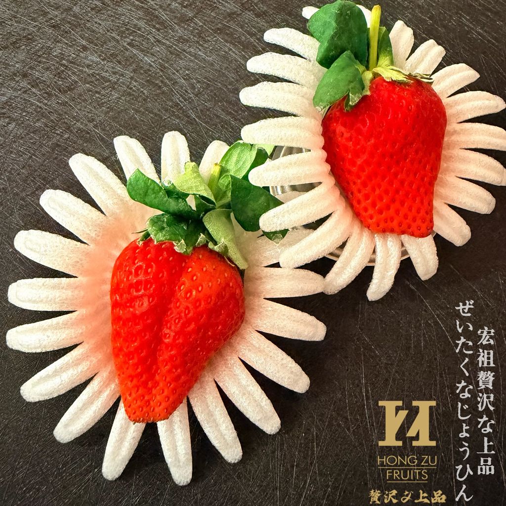 image_3FF31692-EE33-4E2E-843E-A720BED1D3E3_1767369142