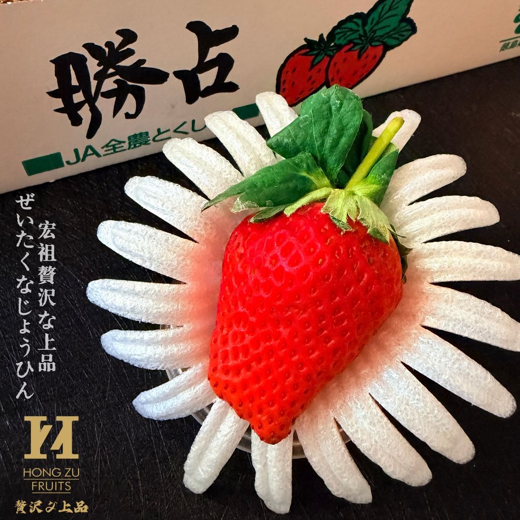 image_9C2BD096-5C8D-42EC-A1E3-DABE6714D609_1767369142