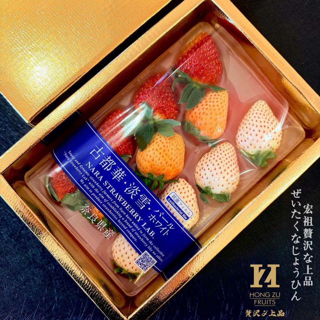 image_F4839940-9A99-46C3-B3EF-1708FFF3AA9A_1767398889