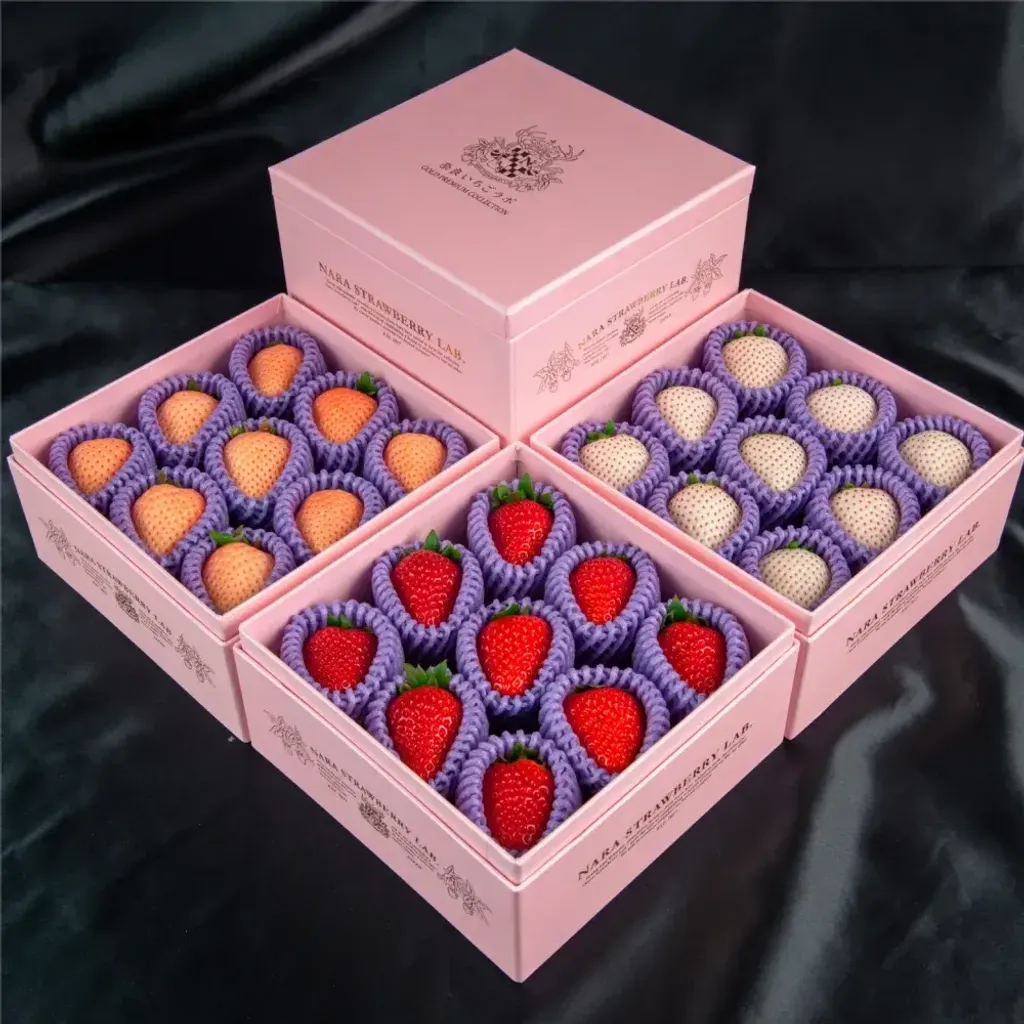 image_03F4702F-D32B-4029-9370-859B71FE199C_1767964909