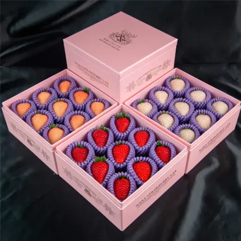 image_03F4702F-D32B-4029-9370-859B71FE199C_1767964909