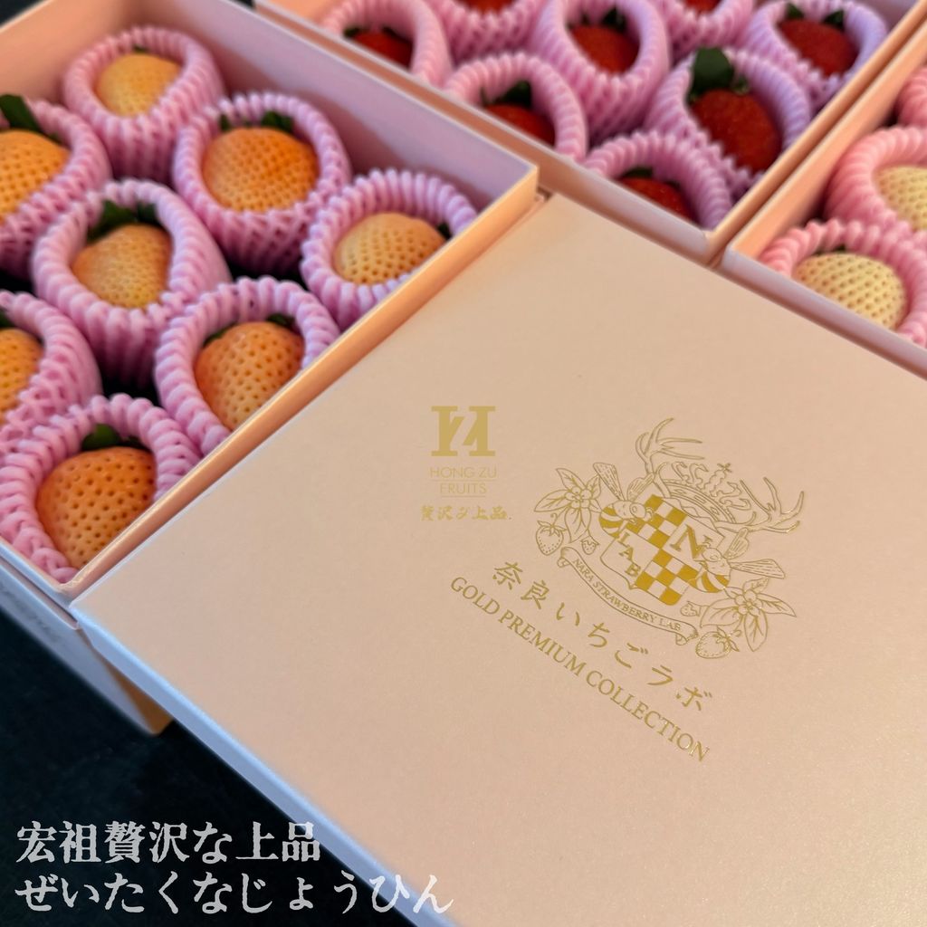 image_E6B66873-6C2C-4EB7-A67E-8968C556C2EB_1767964910