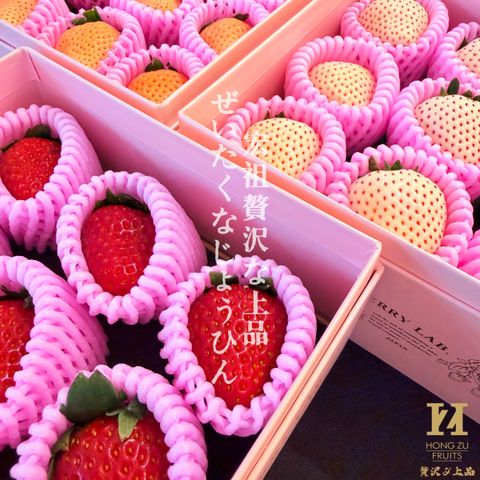 image_C7F66094-9323-482E-A8A3-C092CECE134C_1768036669