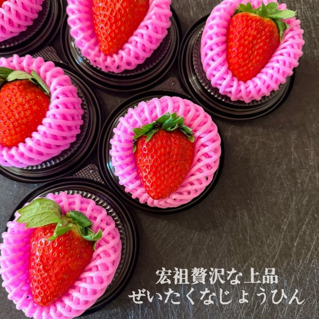 image_21E2C258-2CE3-4E84-879A-97B35999EEC8_1768041443