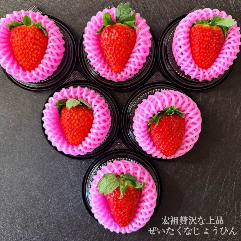 image_E46E3D84-DEB0-41AC-8EAC-E91C073493CB_1768041443