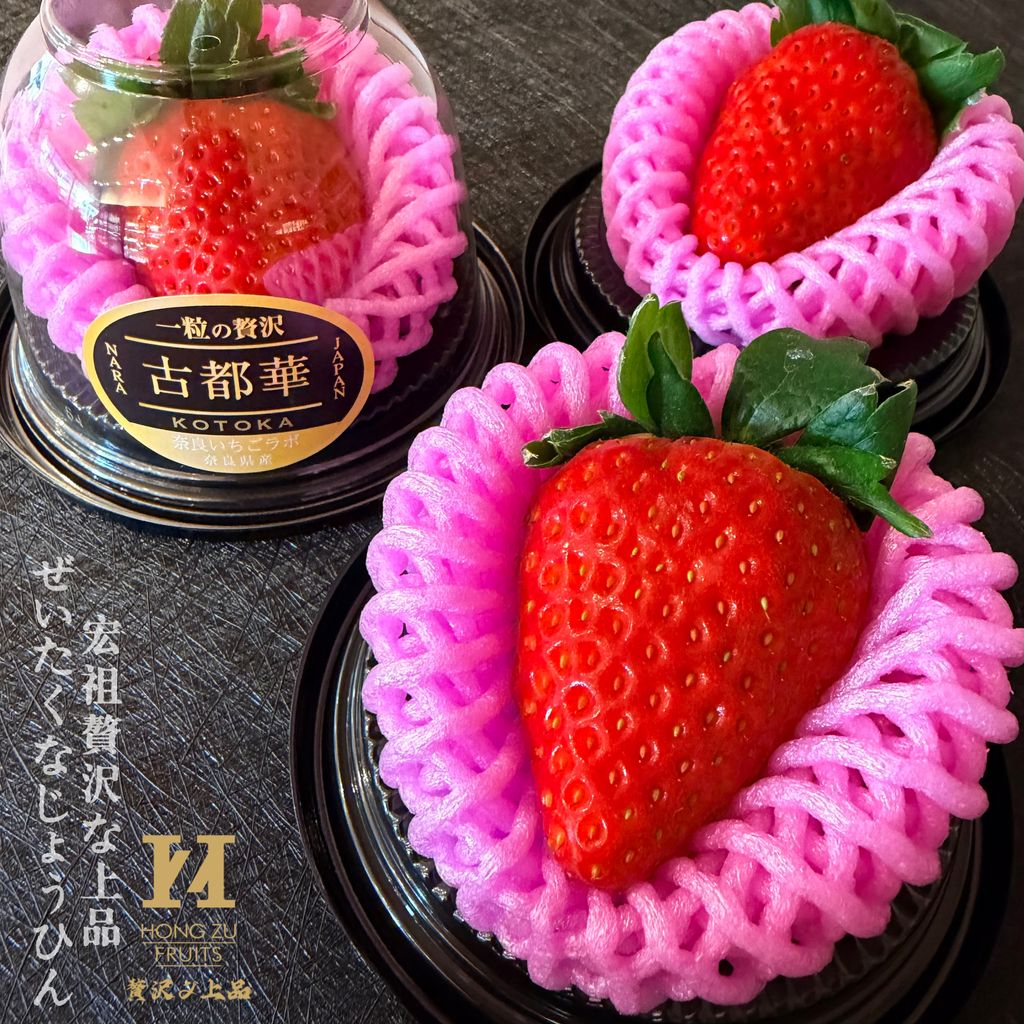 image_153533AB-A8F3-47E4-880C-1E26EFBBC582_1768098921