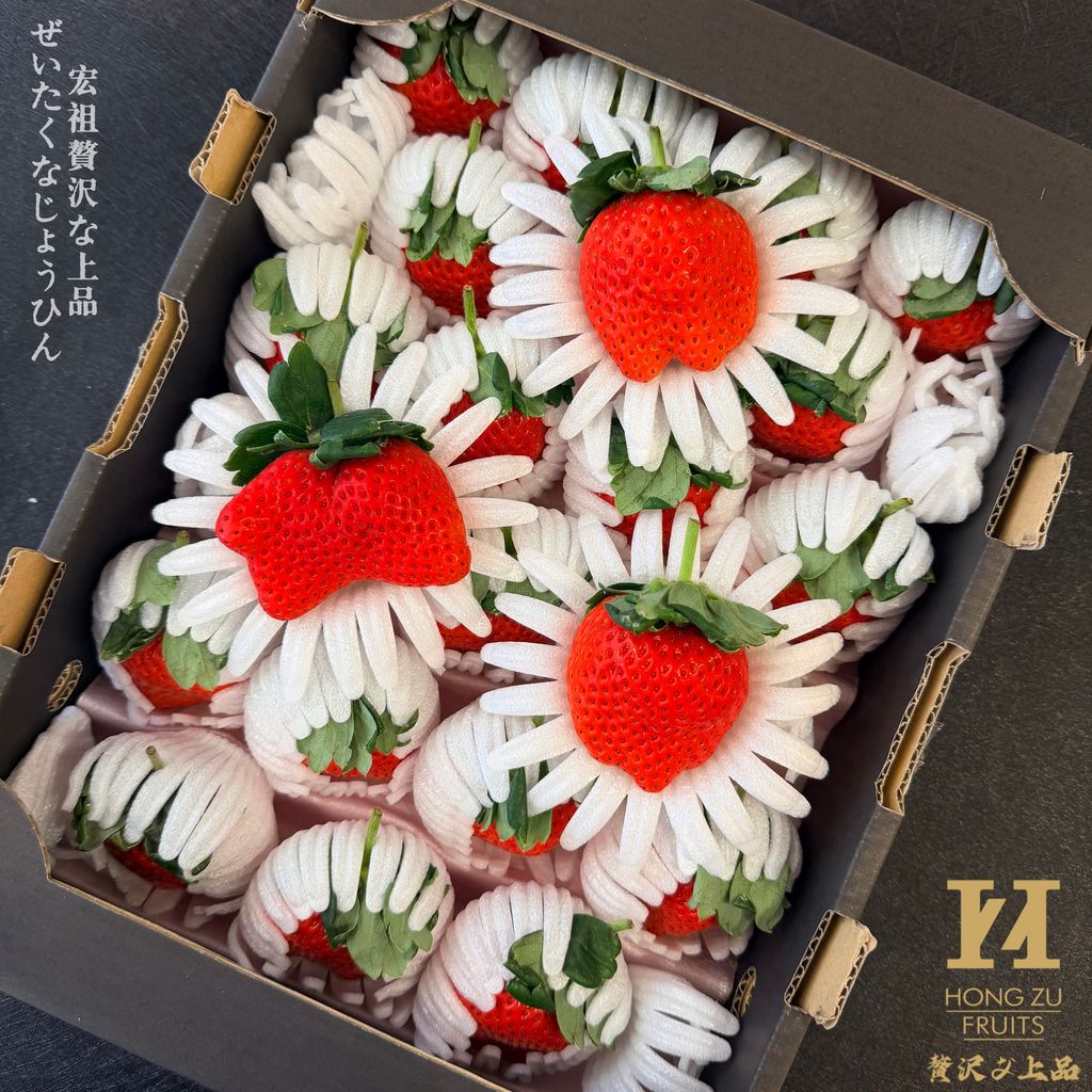 image_F597470E-8DC1-4DA2-81C1-E6DDFB64AD41_1768278669