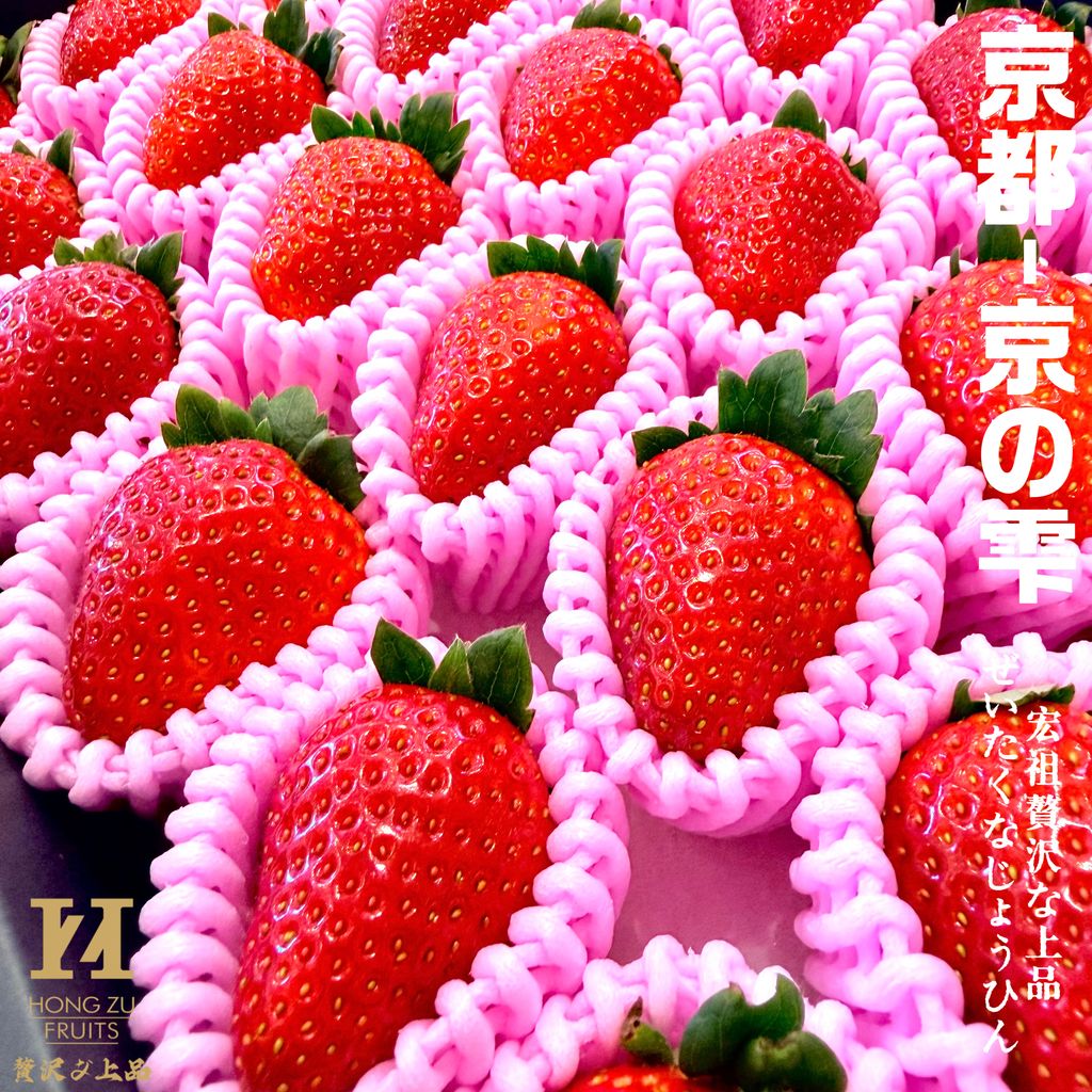 image_18806D93-365B-4C4D-BF88-BAB39F5FFF74_1768488733