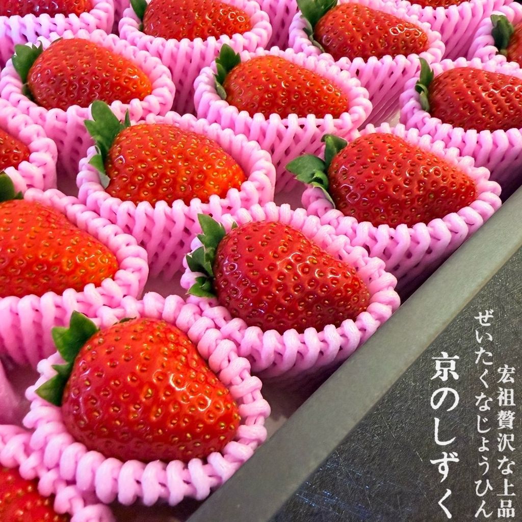 image_5755F6B0-11B8-4638-BF13-F689A0D8D901_1768488733