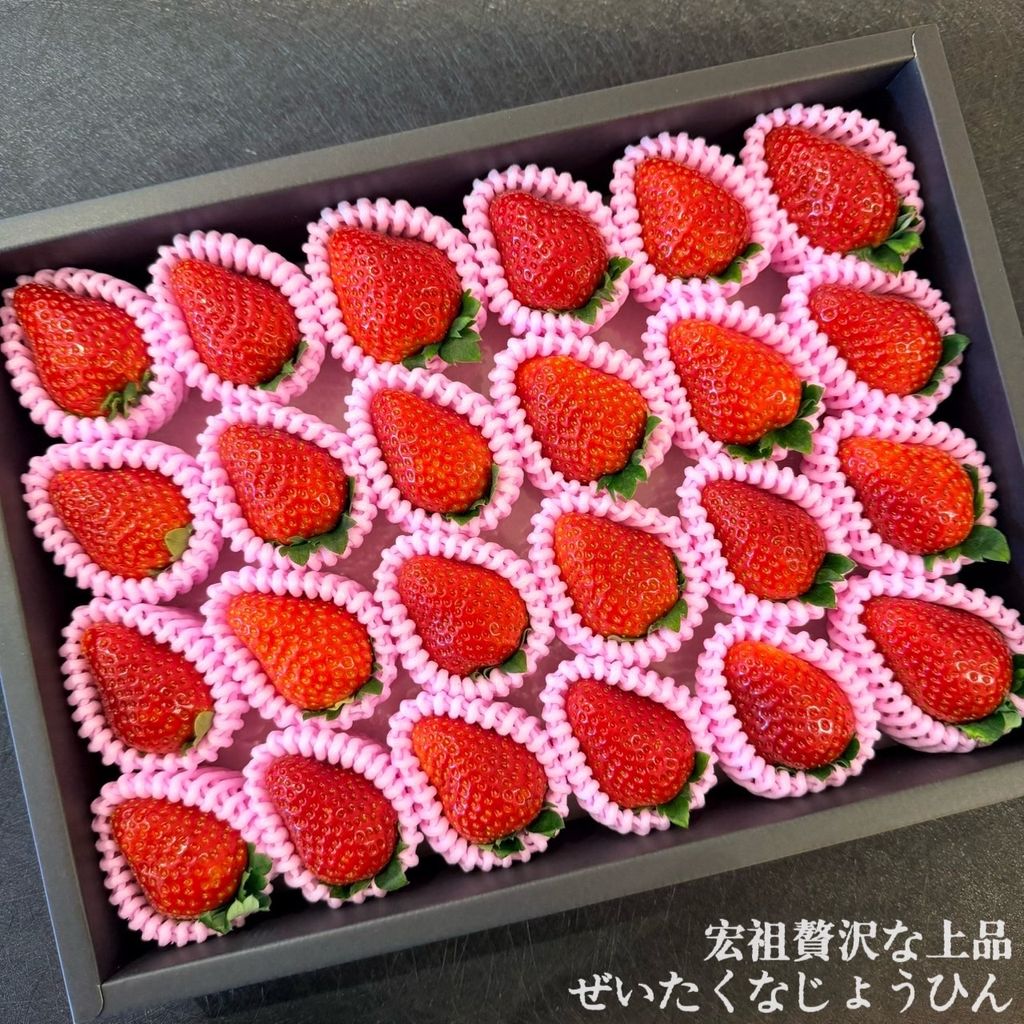 image_567677A9-5B7E-4A6E-B20C-D820D5DA68A9_1768488825