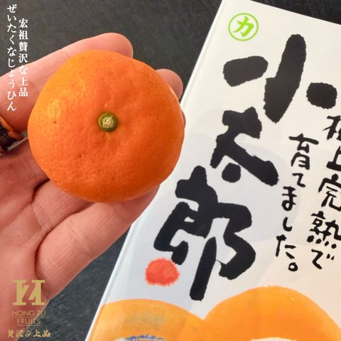 image_88040A15-1EC4-47C7-B3B4-04E942D0F6B1_1768863461