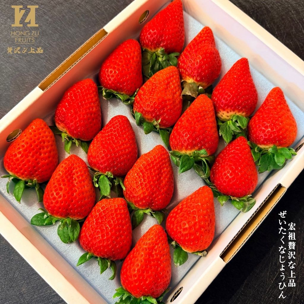 image_9ABF0EF2-30A4-4DA0-8F78-4F907B0AB76D_1769154036