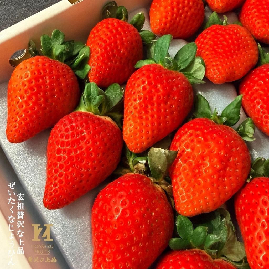 image_7D4F16F4-3DBF-4208-924E-925D15356EE7_1769154036