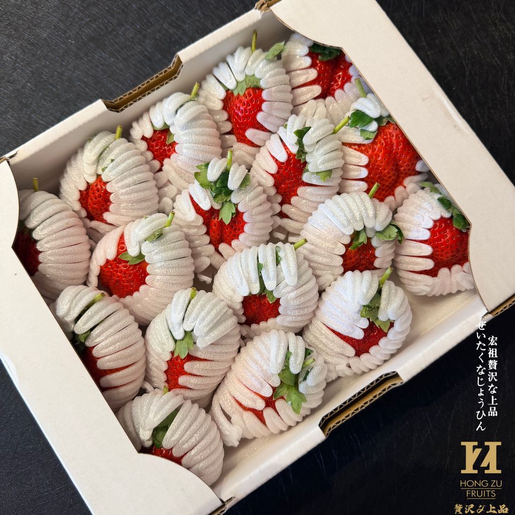 image_C612508C-0F62-4D34-87BF-78E72649EFDA_1770422100