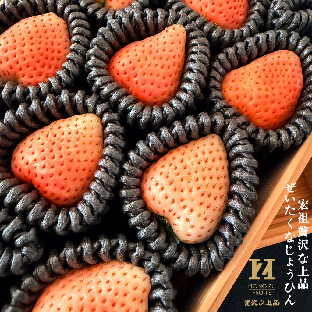 image_C5D280B5-6615-49C9-9D18-C030575ABE3C_1771768984