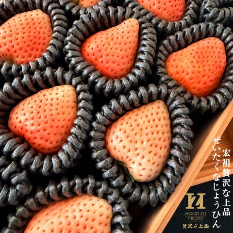 image_C5D280B5-6615-49C9-9D18-C030575ABE3C_1771768984