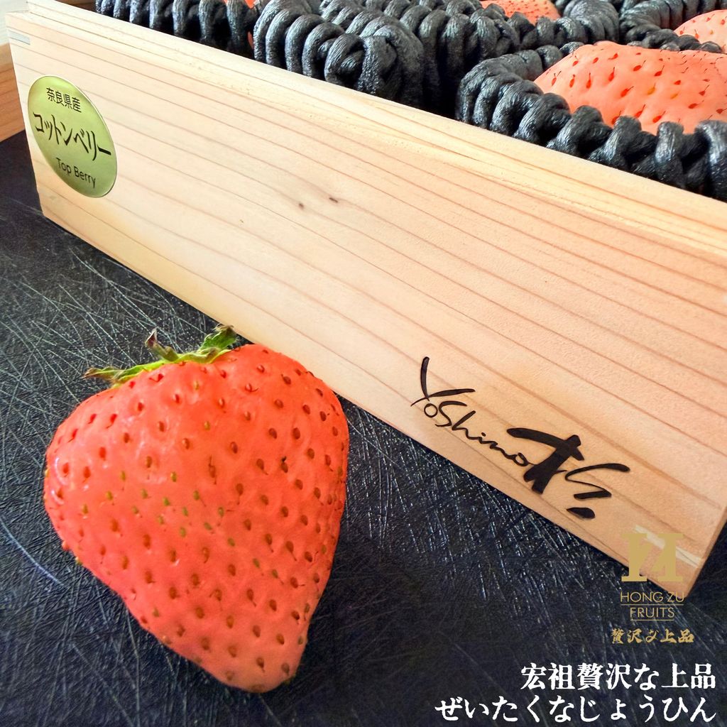 image_C3A65D39-C72E-40DE-B42A-206CAA75BC34_1771768984