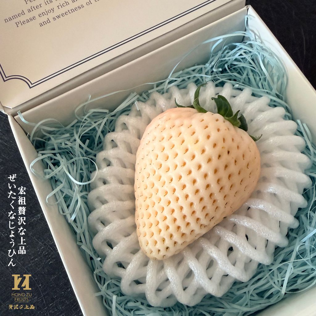 image_AAF215F7-33B0-43C1-A51D-5780800B552B_1772163526