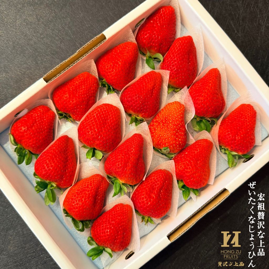 image_11E09D8C-3737-4C37-A826-9CD0E070B438_1772170305