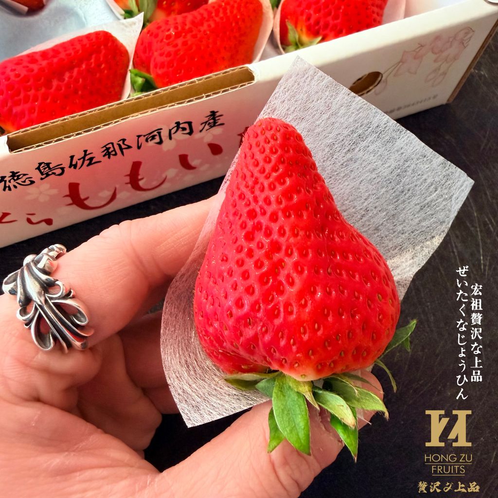 image_490652ED-ACAA-4AF6-A0D6-B6E15DD17082_1772170305