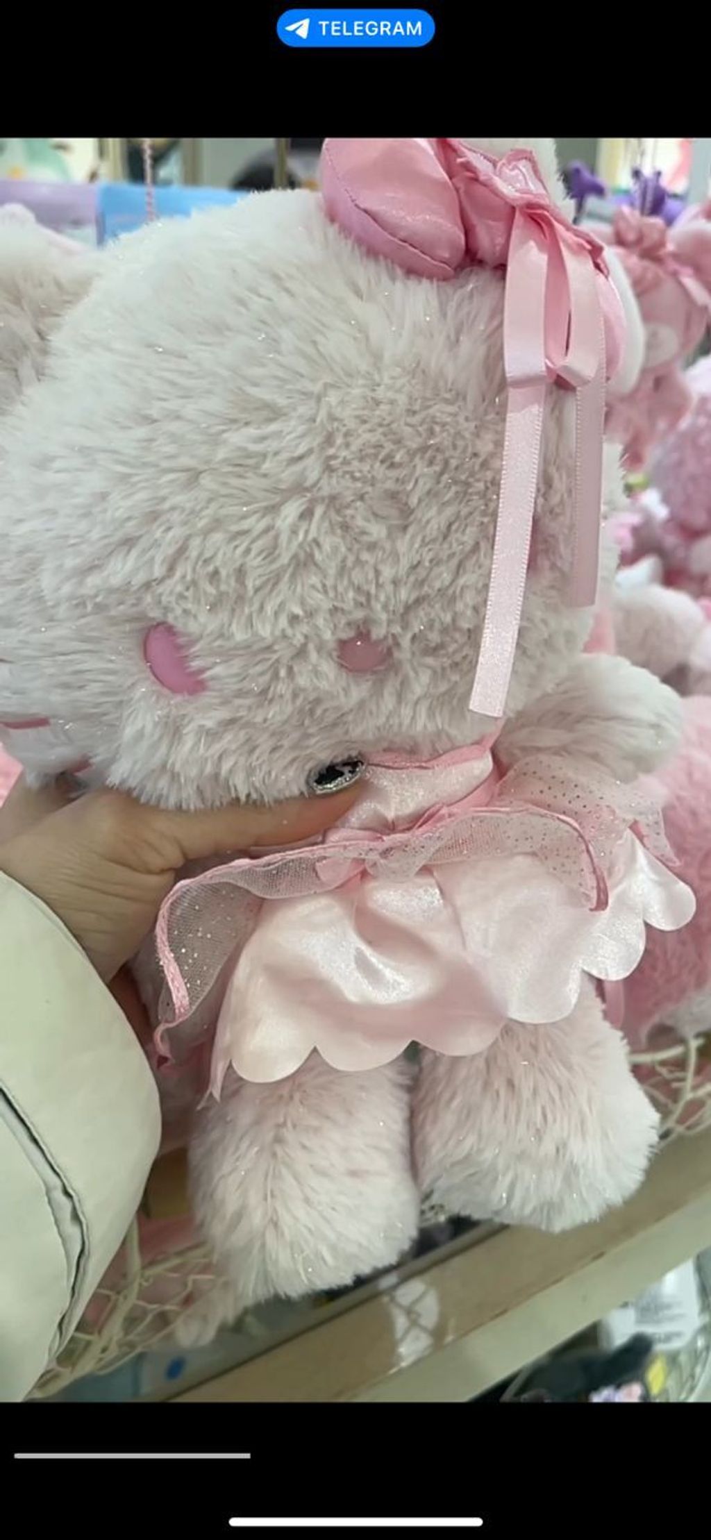 WhatsApp Image 2026-03-11 at 14.55.35 (1)