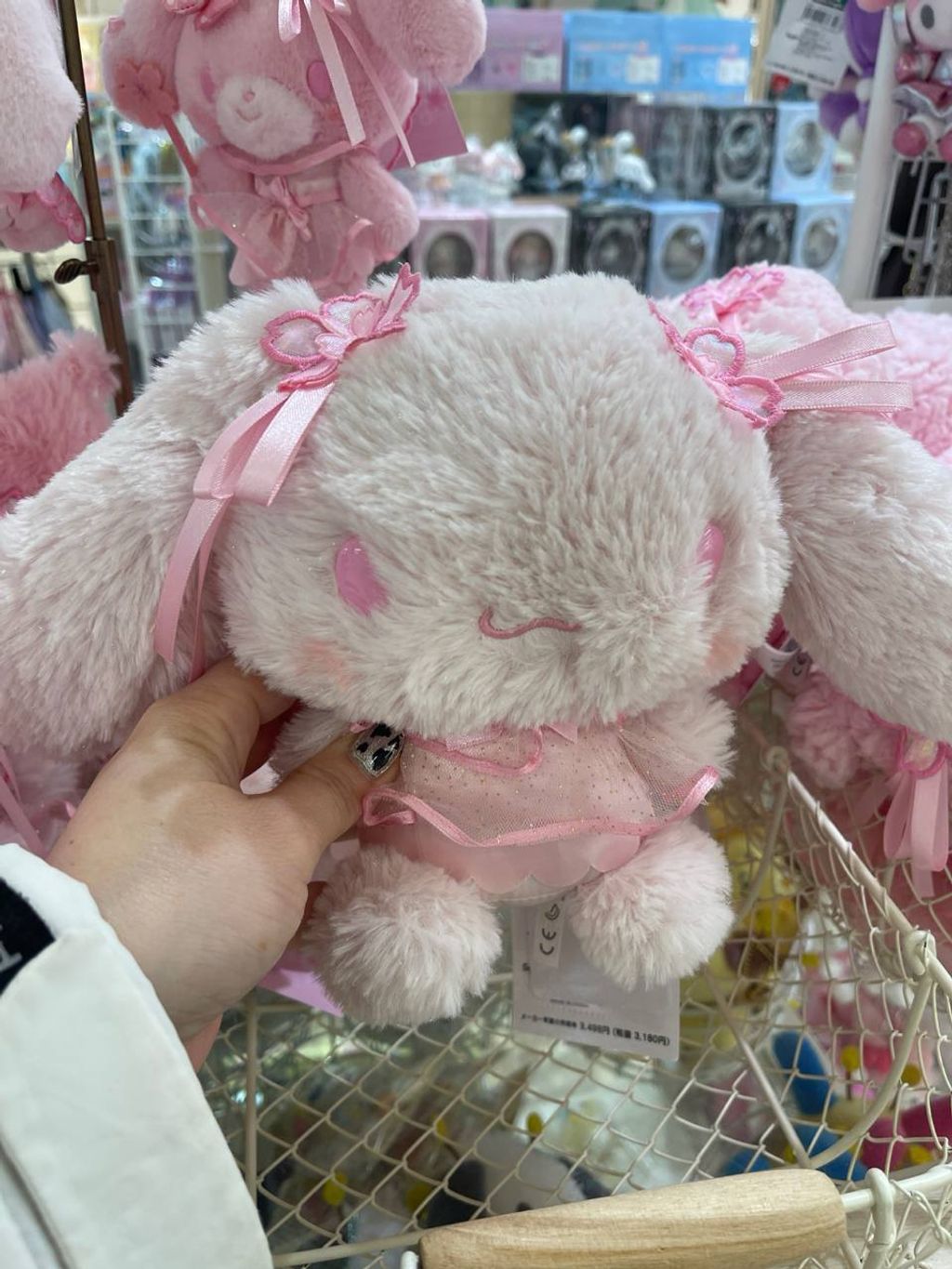 photo_6163219250642882496_y