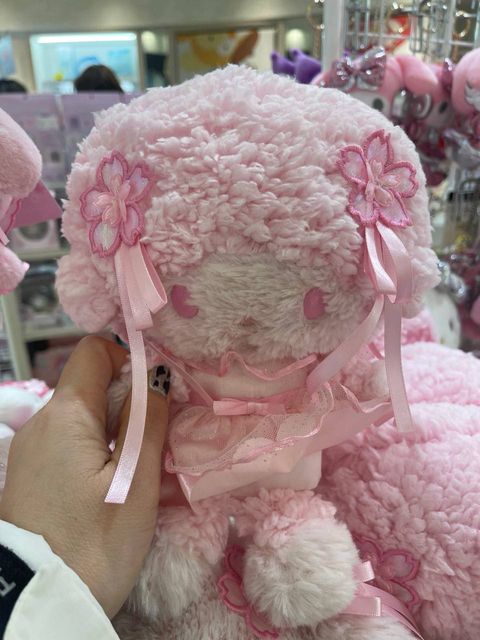 photo_6163219250642882495_y