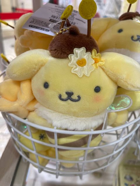 photo_6163219250642882499_w