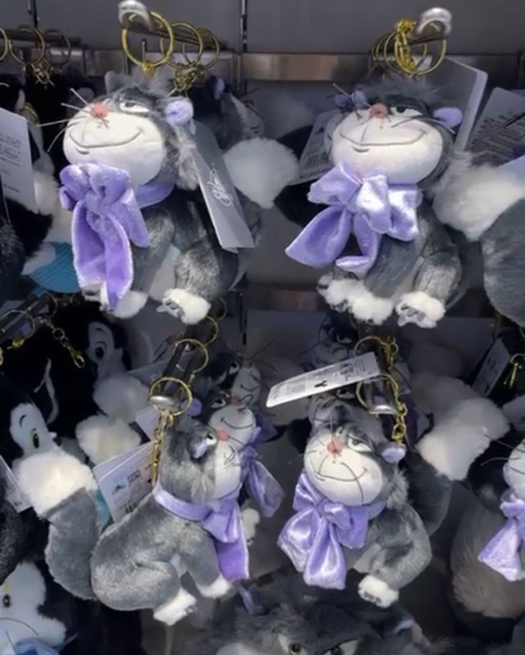 WhatsApp Image 2026-03-12 at 11.57.28