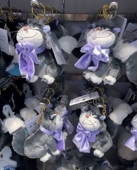 WhatsApp Image 2026-03-12 at 11.57.28