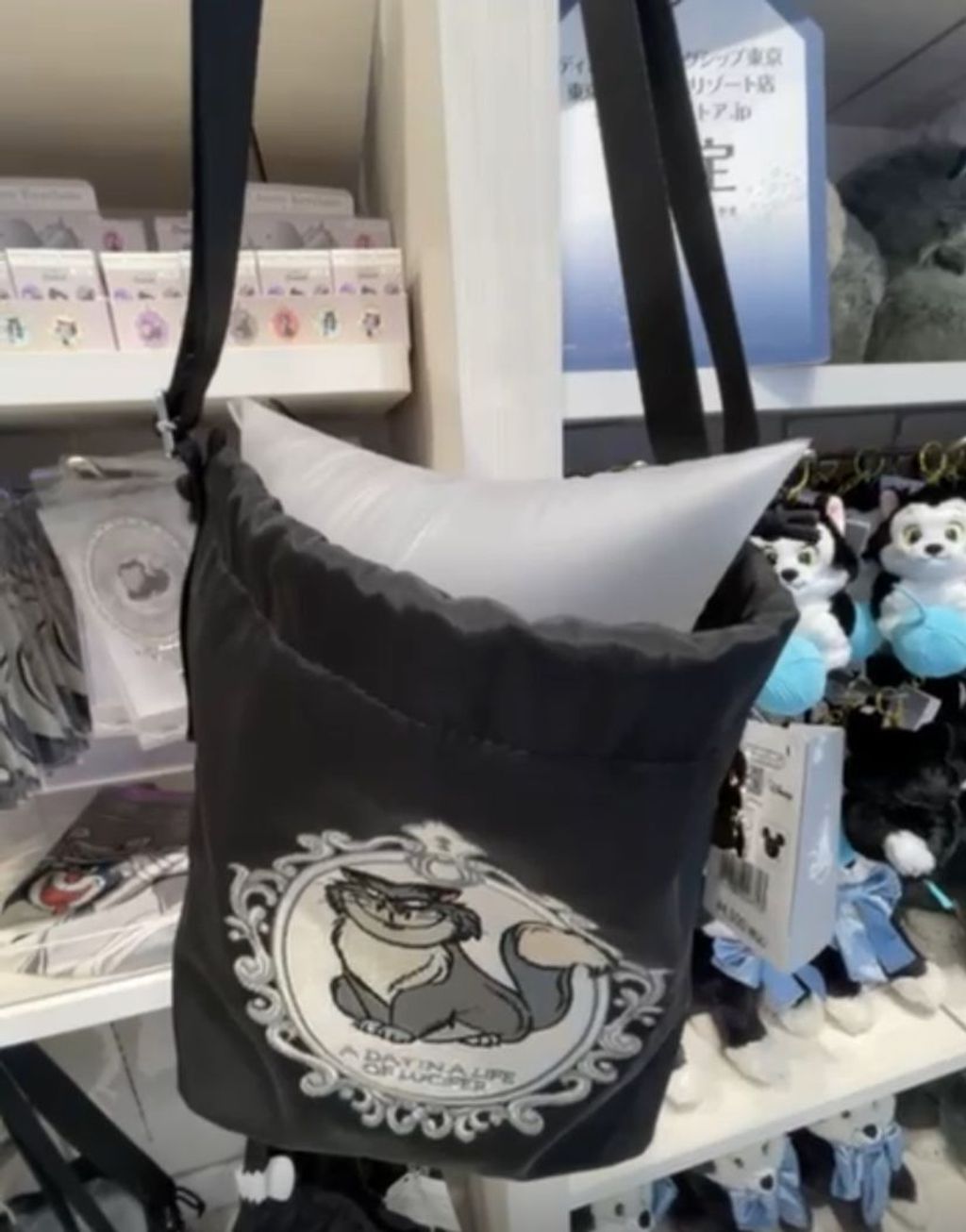 WhatsApp Image 2026-03-12 at 11.57.27