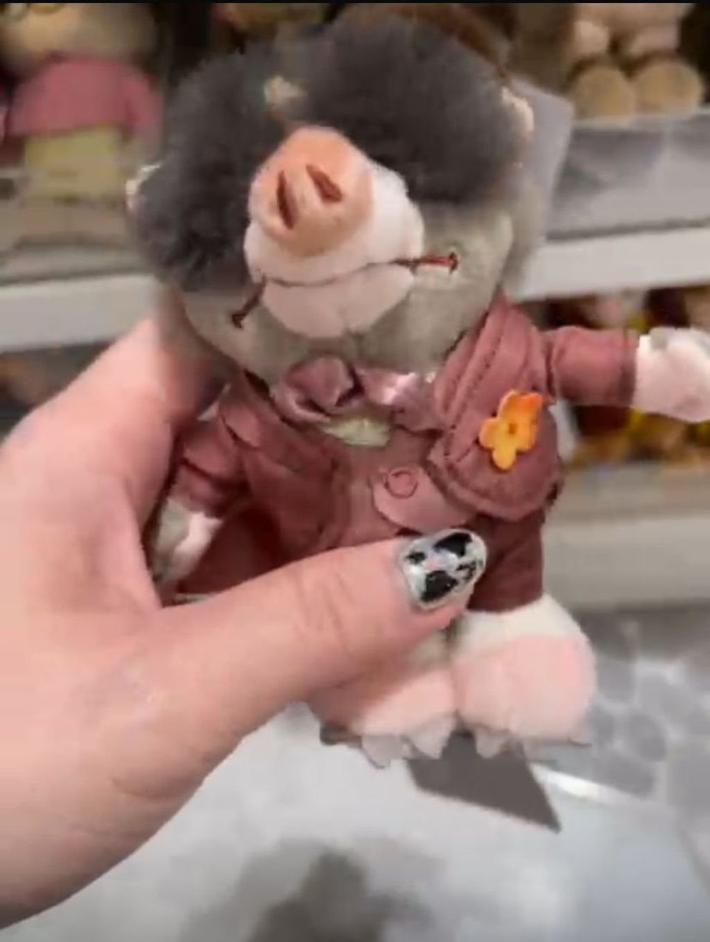 WhatsApp Image 2026-03-12 at 12.27.18 (2)