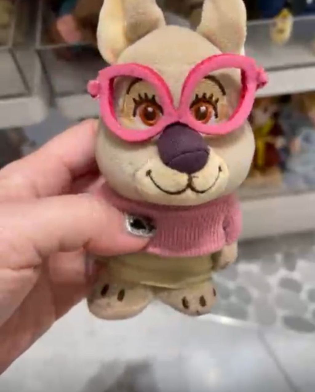 WhatsApp Image 2026-03-12 at 12.27.18