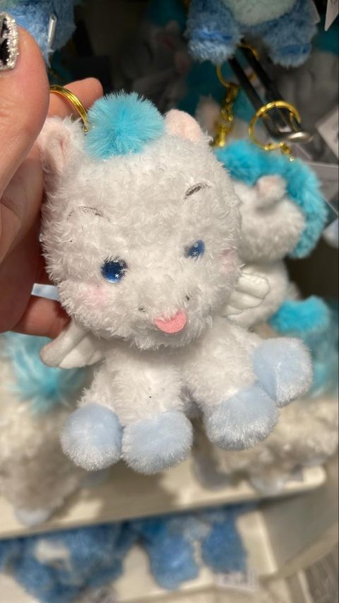 WhatsApp Image 2026-03-12 at 12.51.21