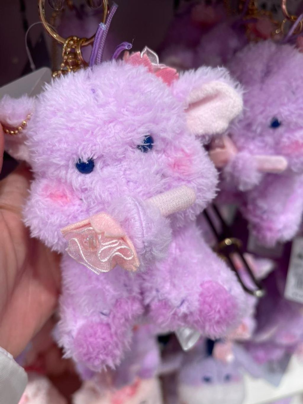 WhatsApp Image 2026-03-12 at 11.45.01