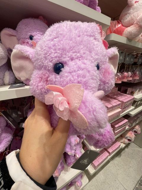 WhatsApp Image 2026-03-12 at 11.43.06