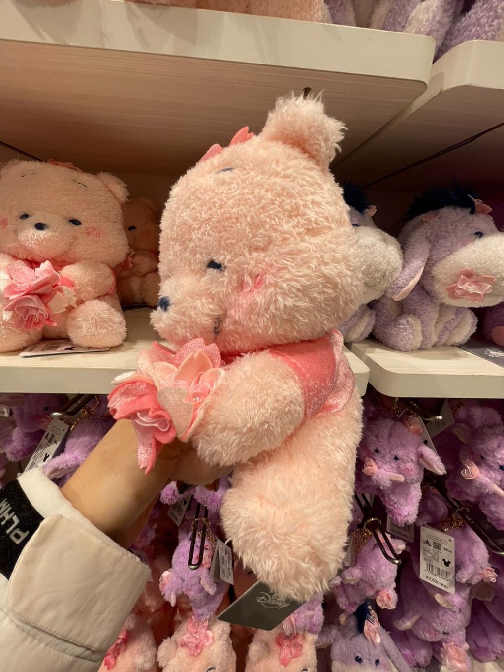 WhatsApp Image 2026-03-12 at 11.43.05