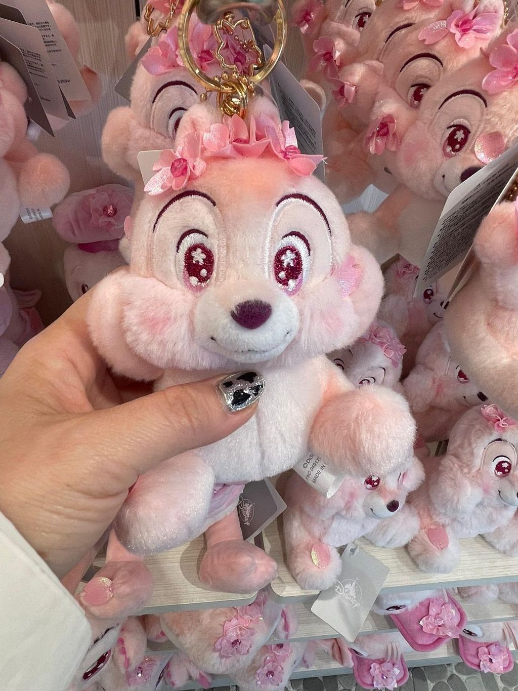 WhatsApp Image 2026-03-12 at 13.07.14