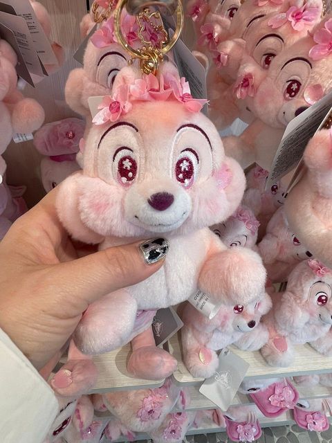 WhatsApp Image 2026-03-12 at 13.07.14