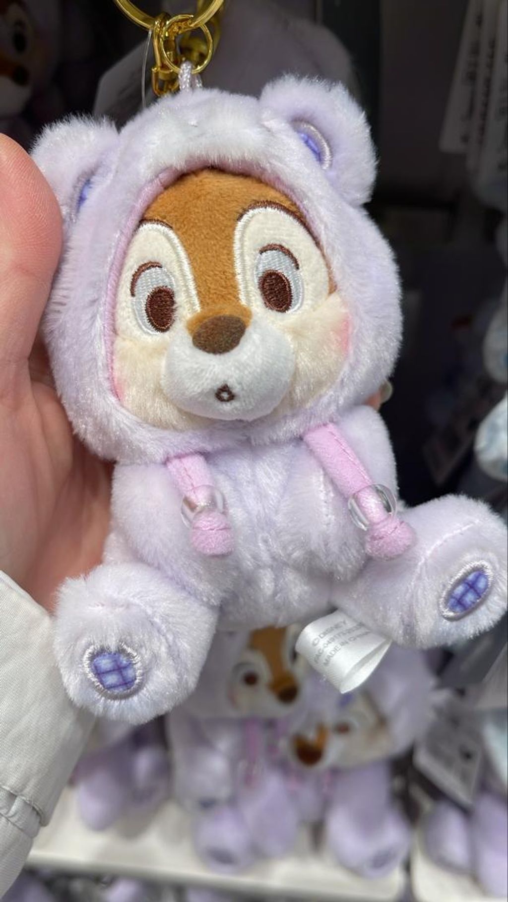 WhatsApp Image 2026-03-12 at 11.37.09