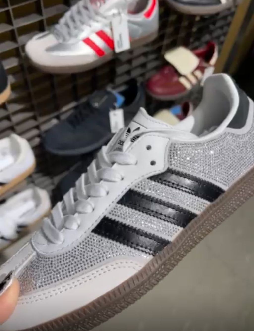 WhatsApp Image 2026-03-13 at 13.38.16