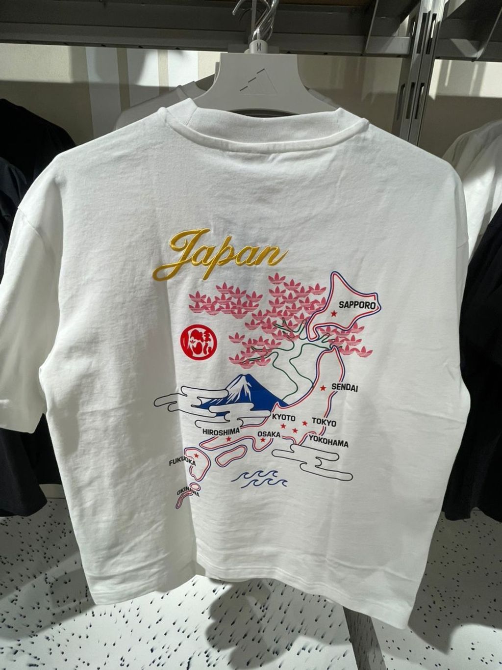 WhatsApp Image 2026-03-13 at 13.52.30