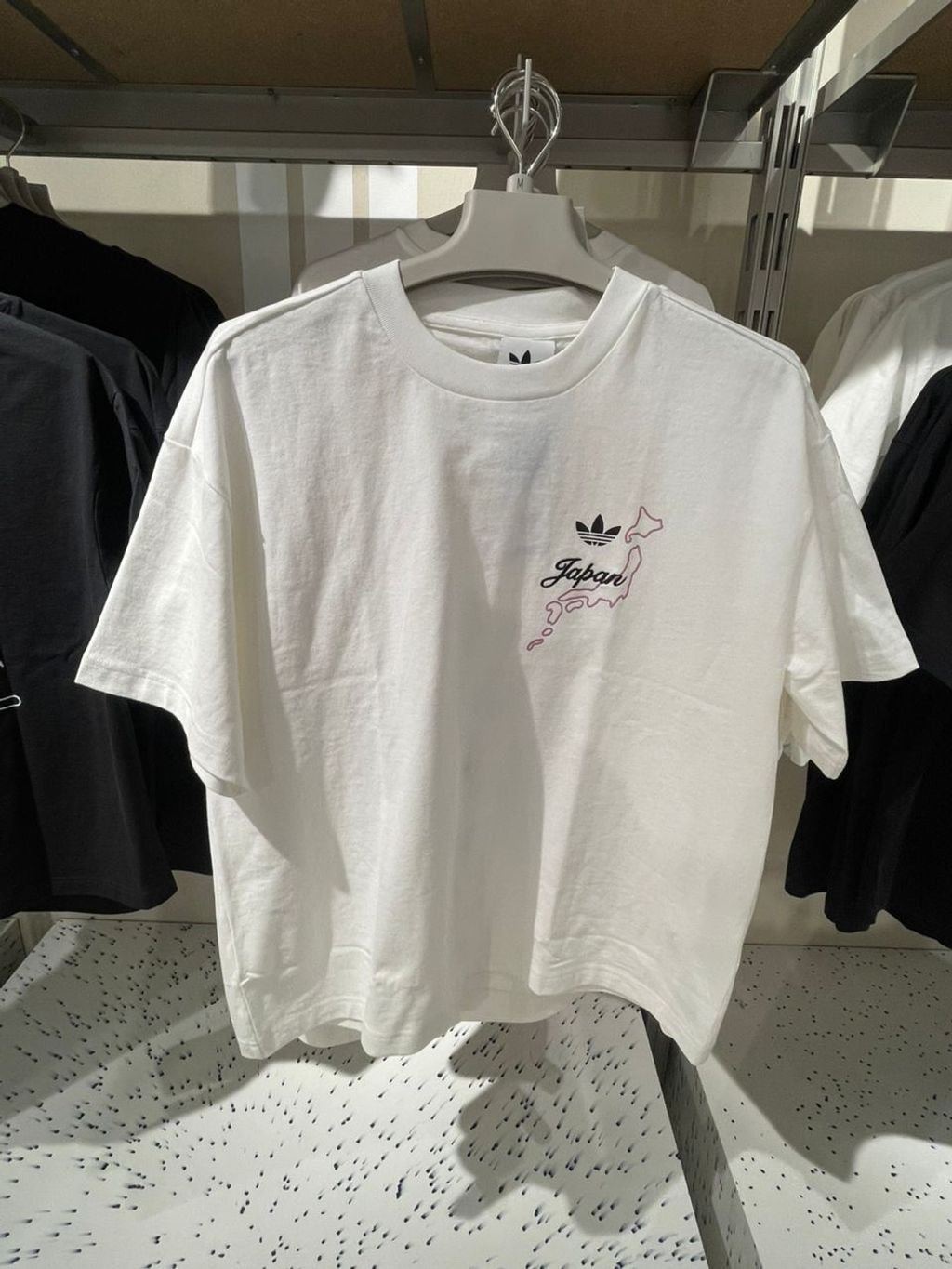 WhatsApp Image 2026-03-13 at 13.52.29